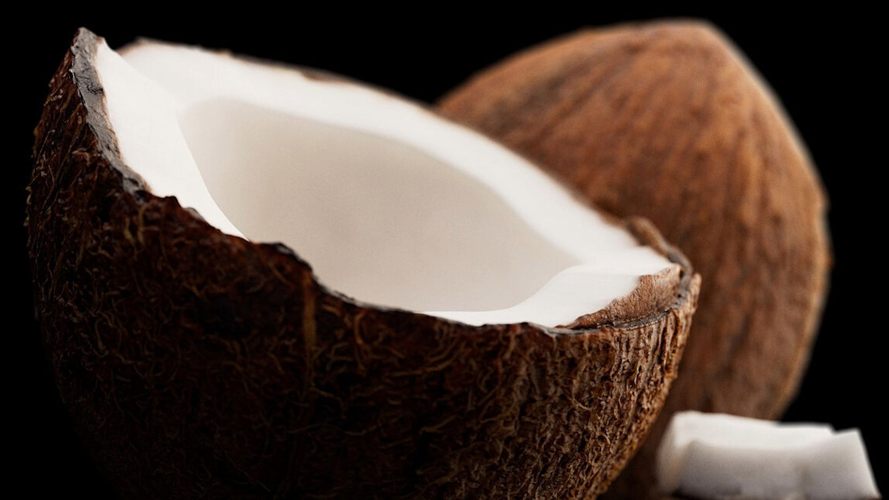 寫實(shí)水果椰子食物3d模型逼真熱帶水果椰子外殼果肉帶8k紋理貼圖