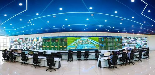 金鼎鋼鐵 以信息技術(shù)研發(fā)之“綠”，鑄就發(fā)展底色中的別樣“紅”